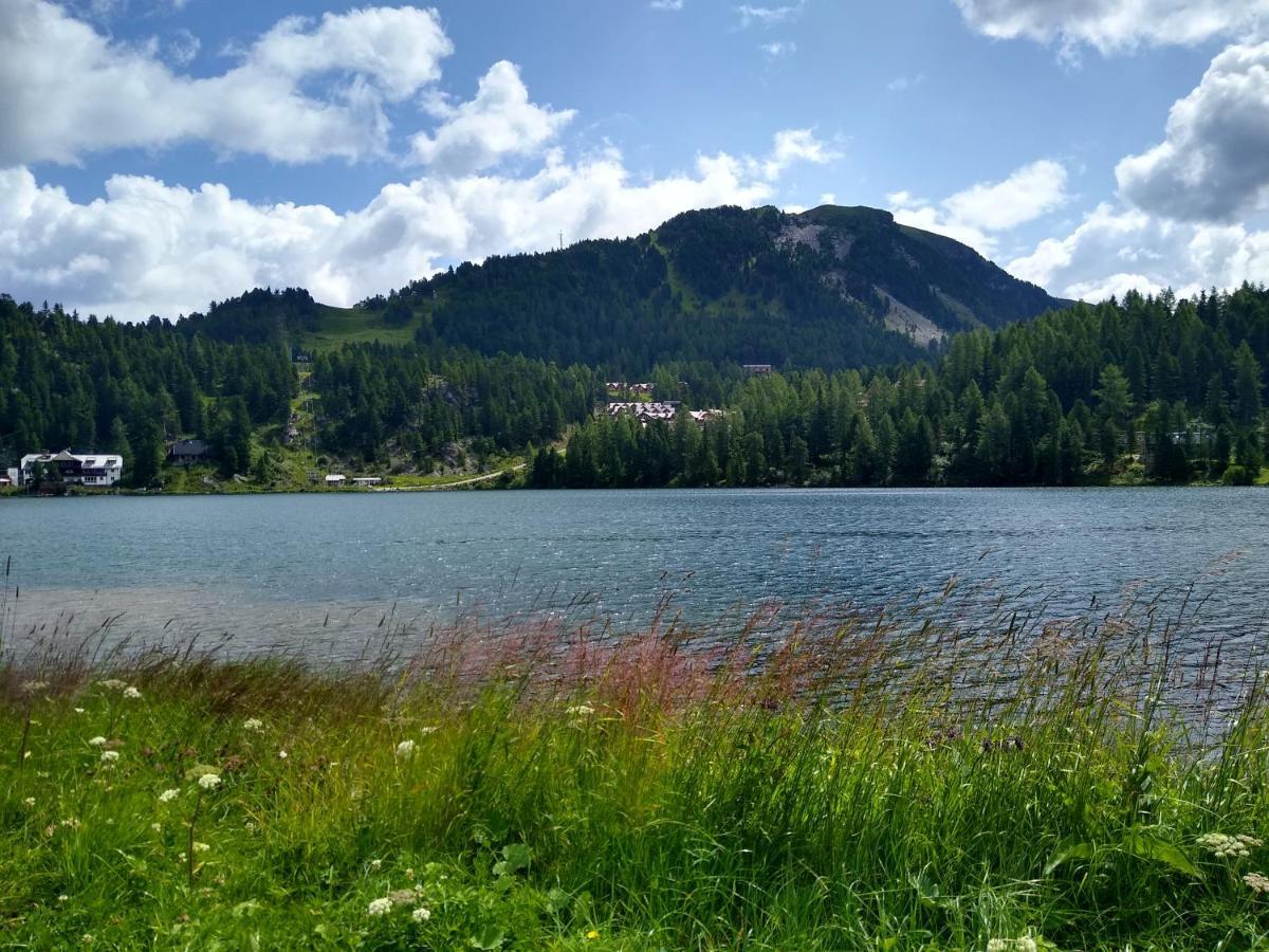 Alpenflair Appartment Mit Aussicht Zum Traeumen Туррахер-Хёэ Экстерьер фото