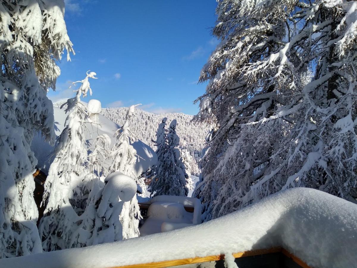 Alpenflair Appartment Mit Aussicht Zum Traeumen Туррахер-Хёэ Экстерьер фото
